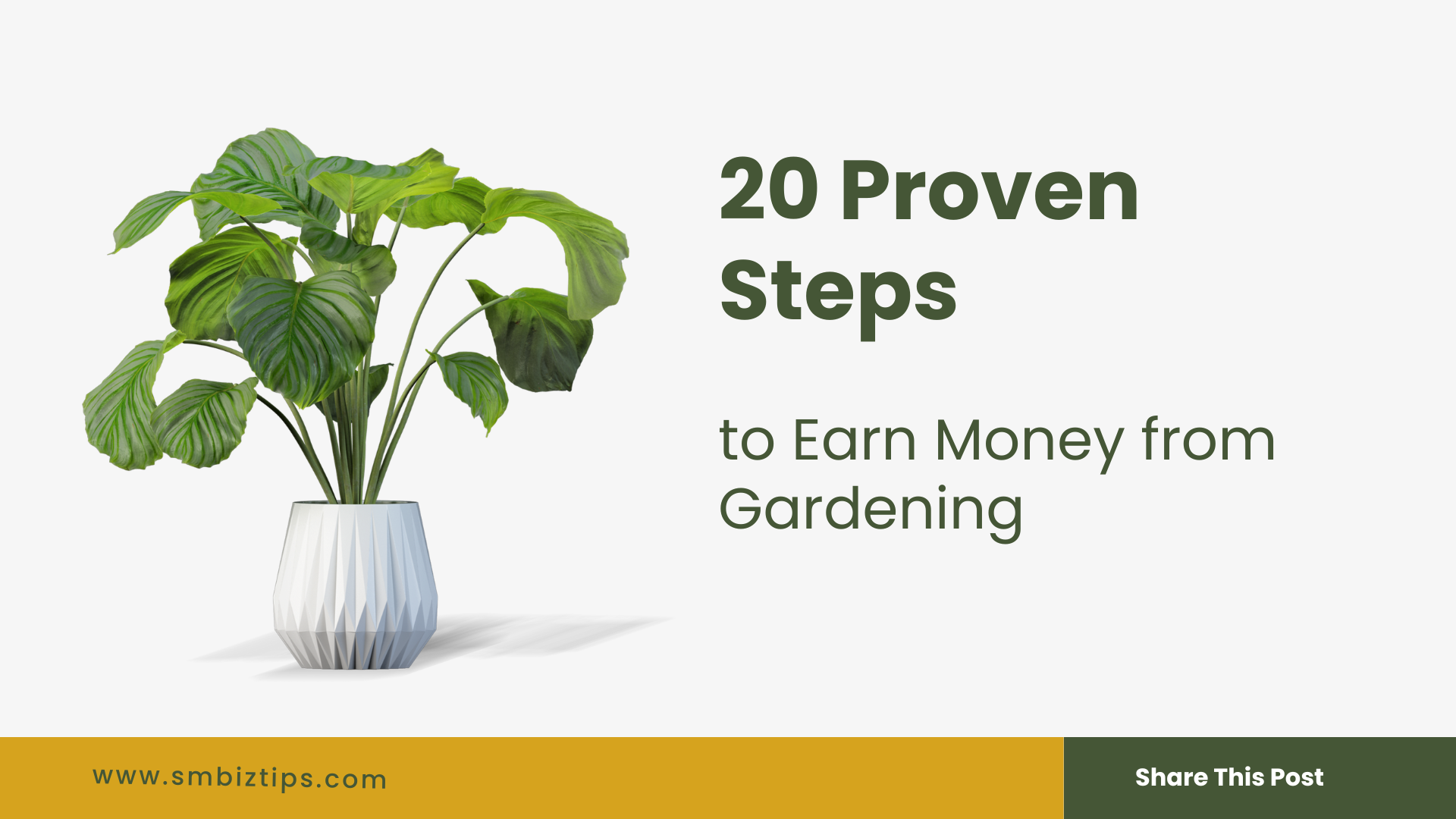 20 Proven Steps to Earn Money from Gardening